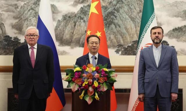 心有不甘：伊拉克队奋起反击的简单介绍